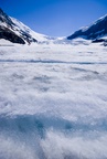 Walking on the Athabasca Glacier
