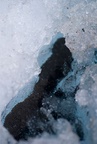 Sediment layer under glacial ice
