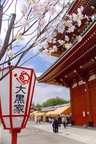 Asakusa Kannon Temple