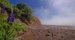 Cape Blomindon around Bay of fundy during low tide