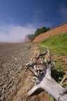 Cape Blomindon around Bay of fundy during low tide